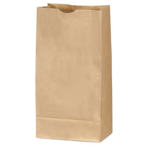 Paper Grocery Bag, Kraft 20 Allworld Packaging Supplies Ltd.